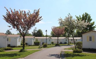 Soltau2